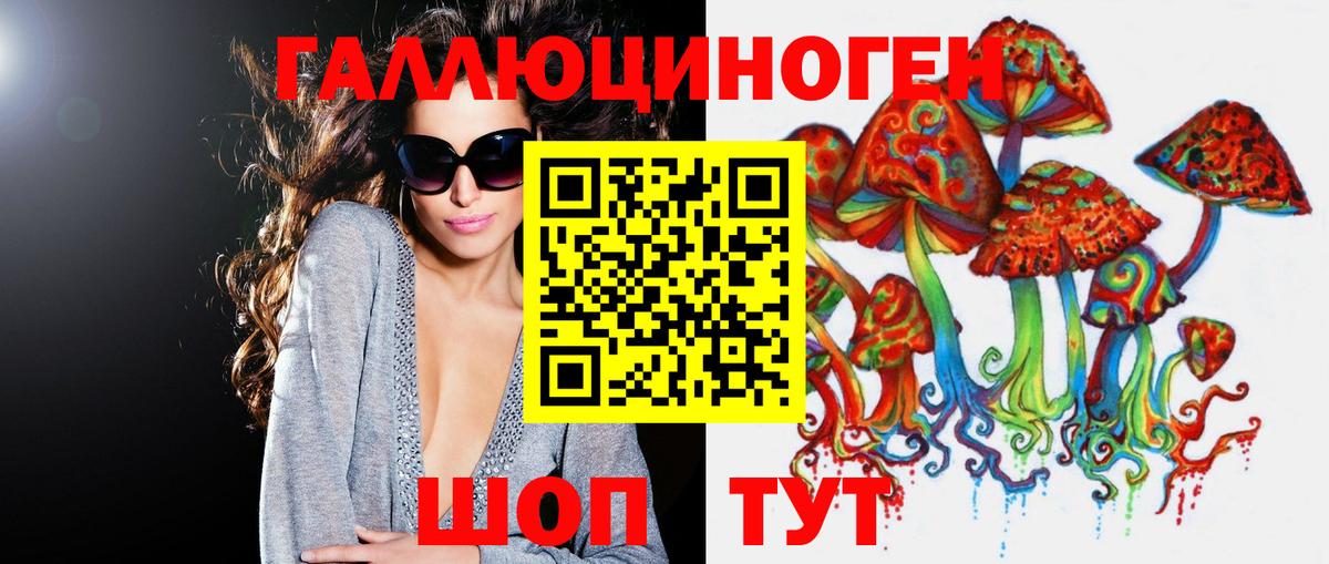 Галлюциногенные грибы Psilocybine cubensis Назарово